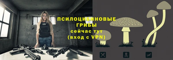 прущая мука Магадан