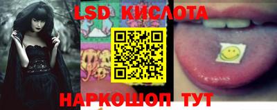 гидропоника Гатчина