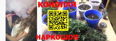 Альфа ПВП Гай