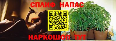 Альфа ПВП Гай