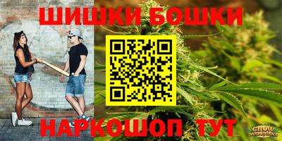 гидропоника Гатчина