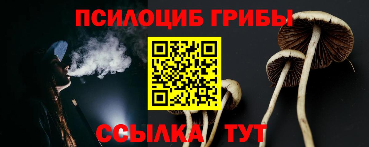 Галлюциногенные грибы Cubensis  Вход с VPN  Ижевск 